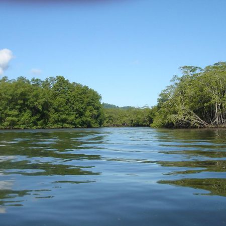 Isla Violin Eco-Lodge Drake Bay Bagian luar foto