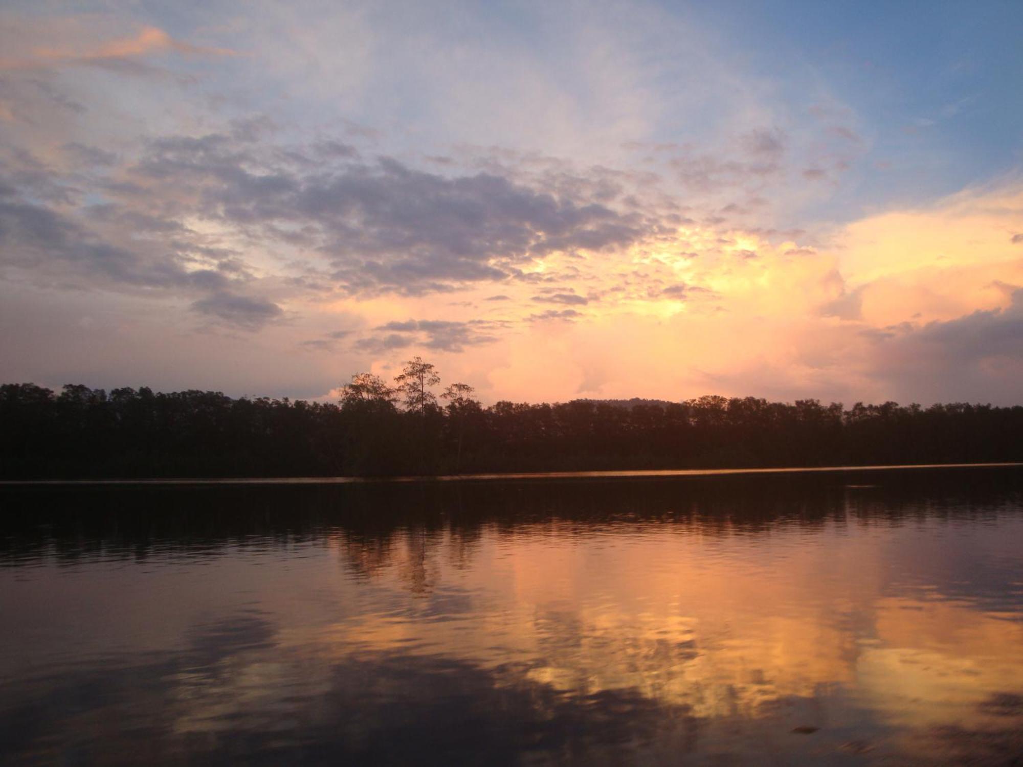 Isla Violin Eco-Lodge Drake Bay Bagian luar foto
