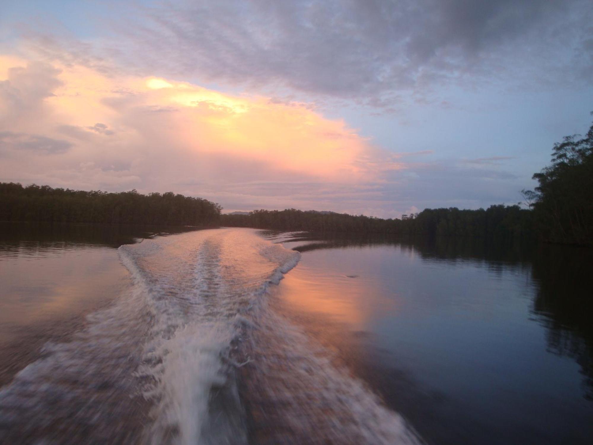 Isla Violin Eco-Lodge Drake Bay Bagian luar foto