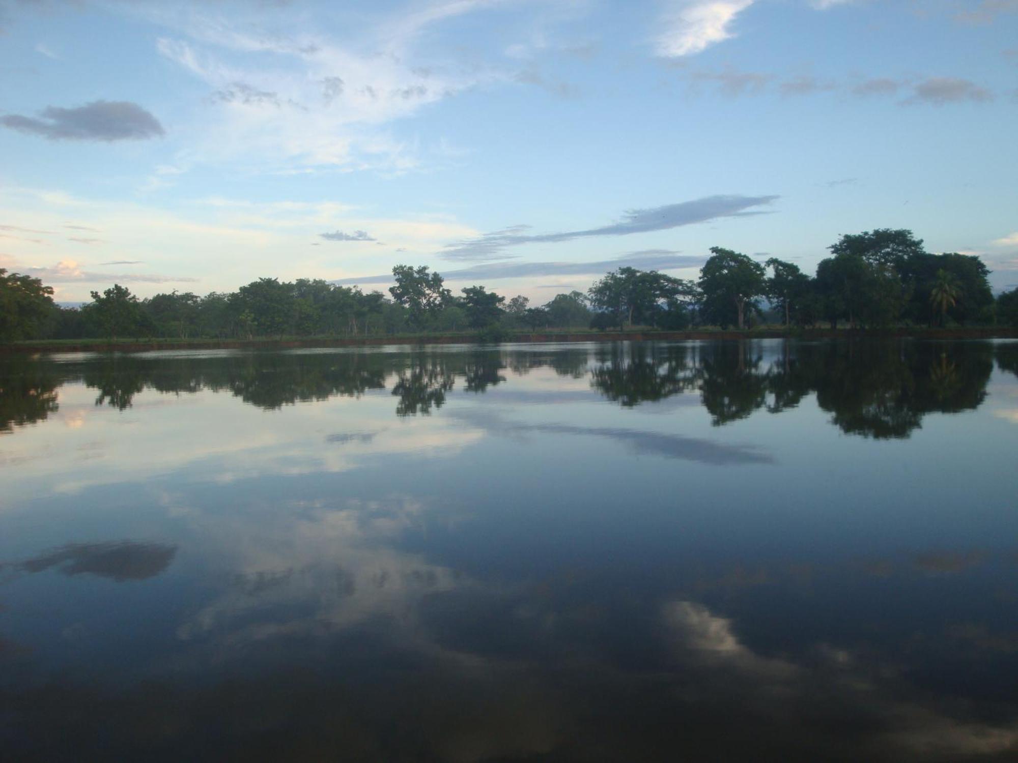 Isla Violin Eco-Lodge Drake Bay Bagian luar foto