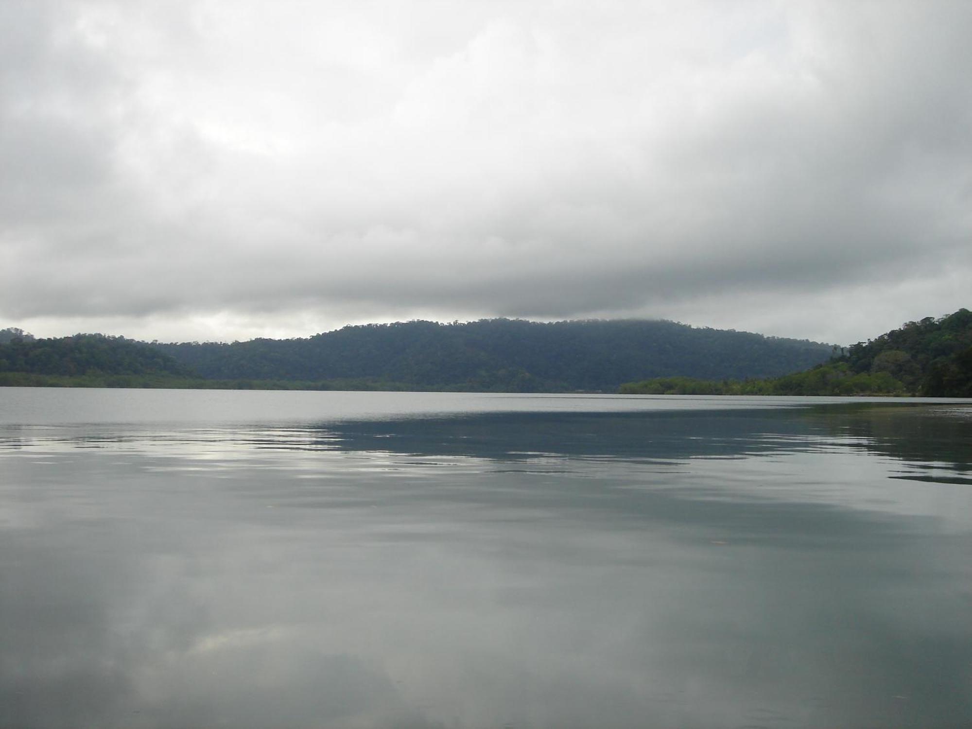 Isla Violin Eco-Lodge Drake Bay Bagian luar foto