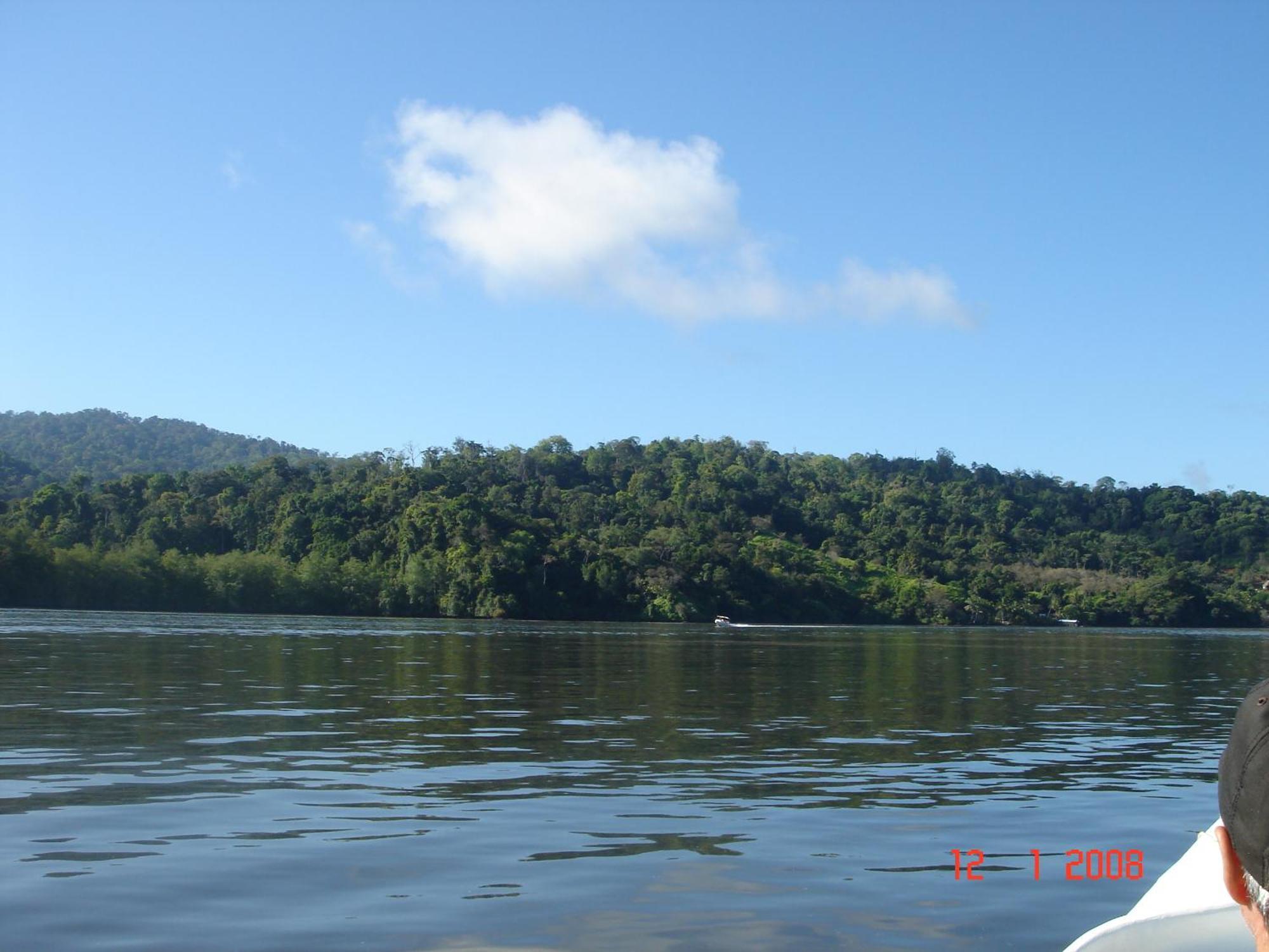 Isla Violin Eco-Lodge Drake Bay Bagian luar foto