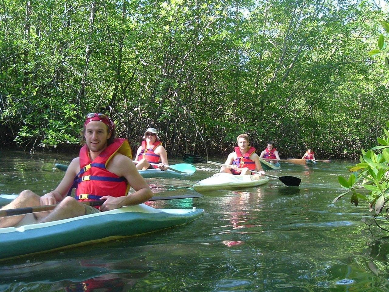 Isla Violin Eco-Lodge Drake Bay Bagian luar foto