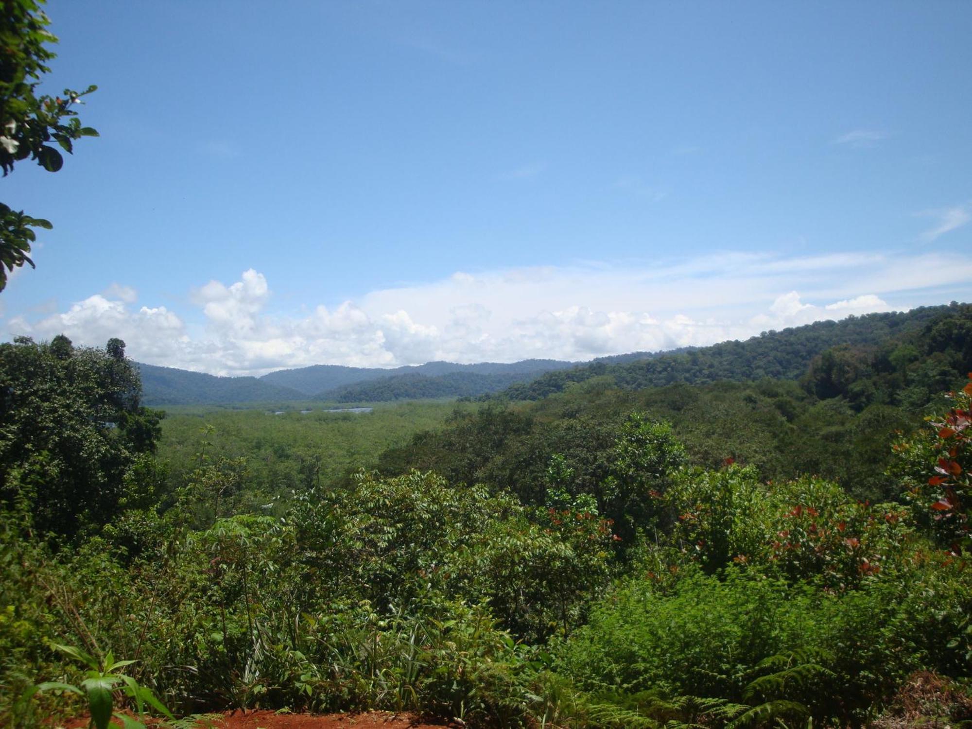 Isla Violin Eco-Lodge Drake Bay Bagian luar foto