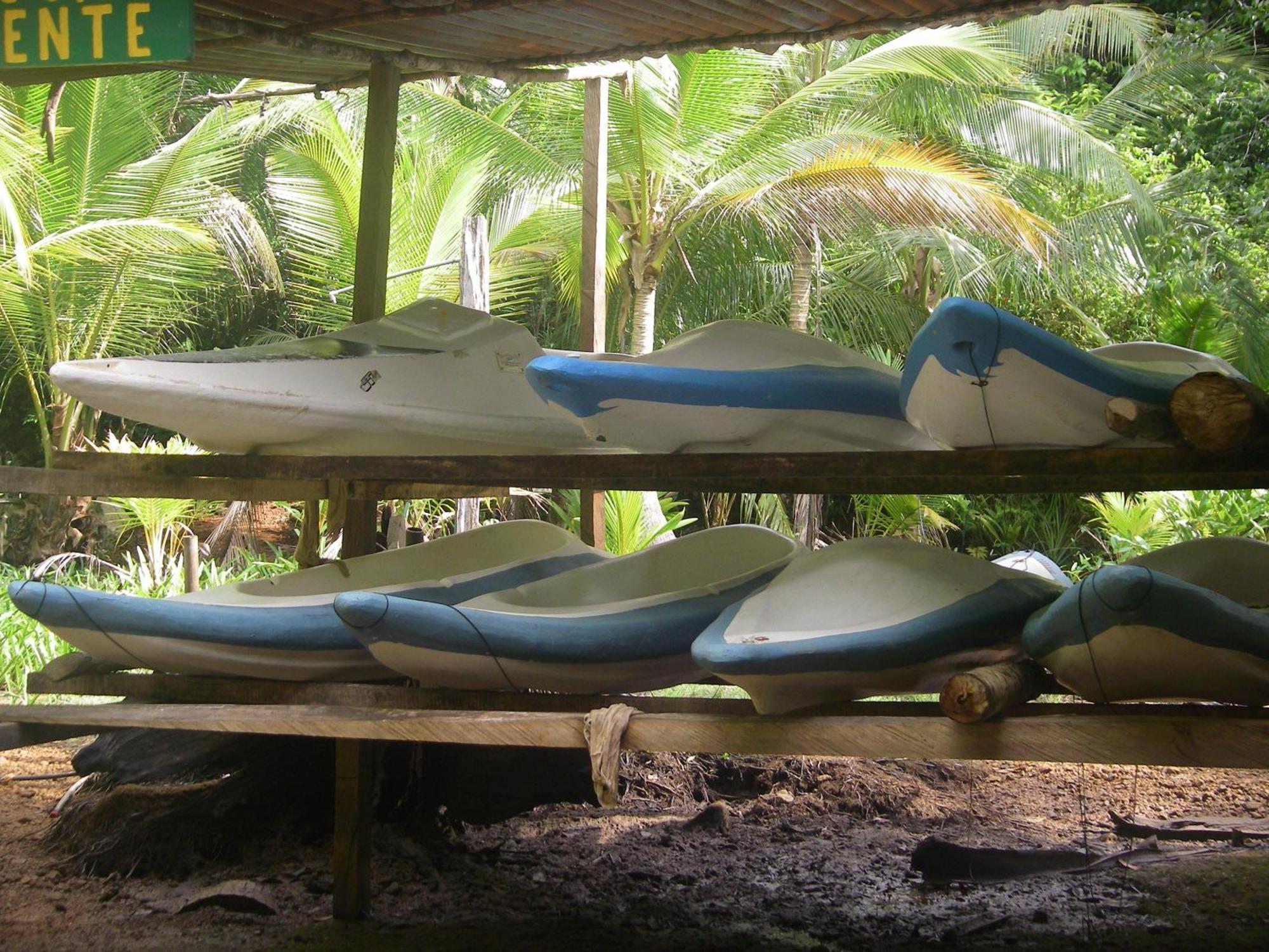 Isla Violin Eco-Lodge Drake Bay Bagian luar foto