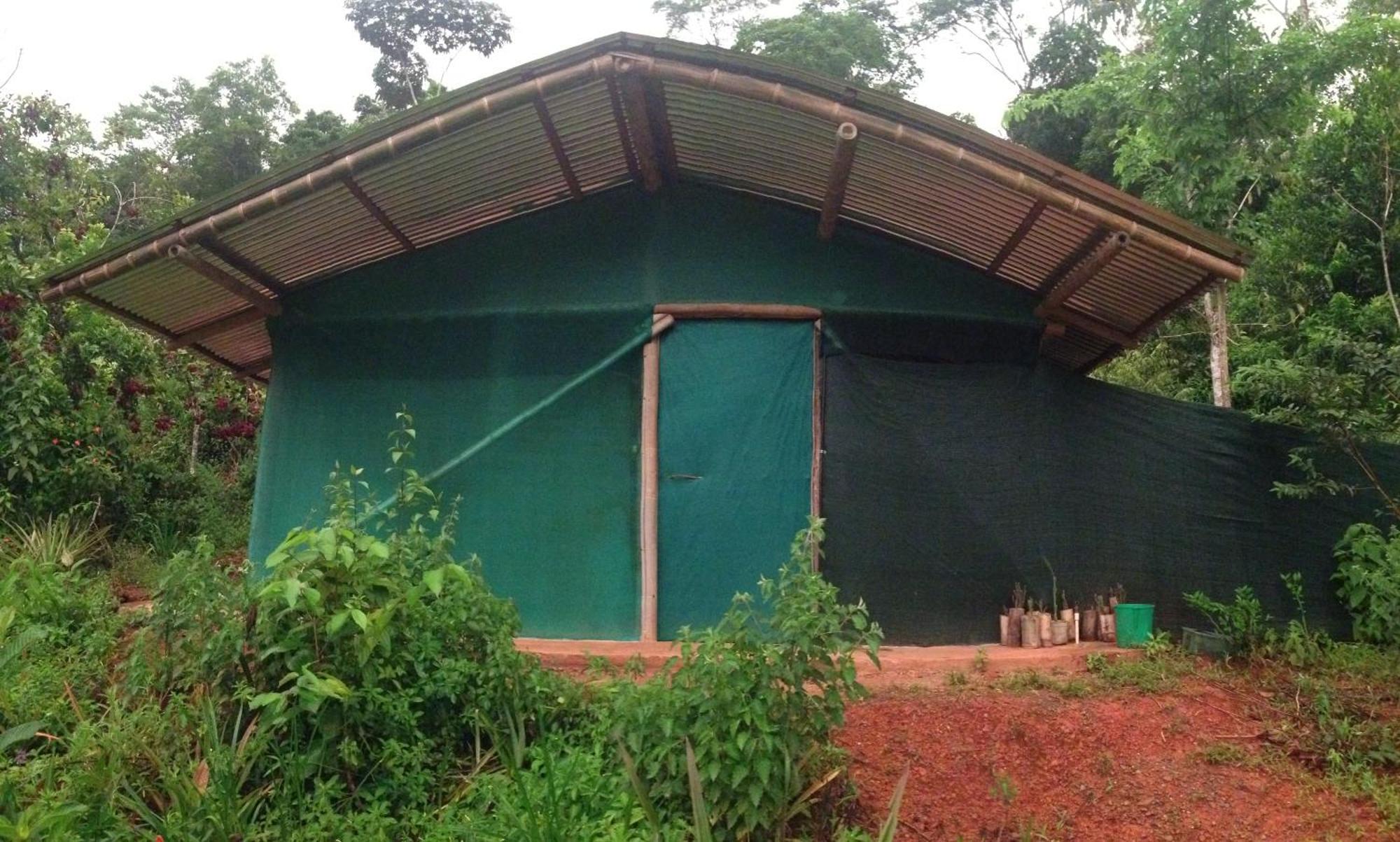 Isla Violin Eco-Lodge Drake Bay Ruang foto