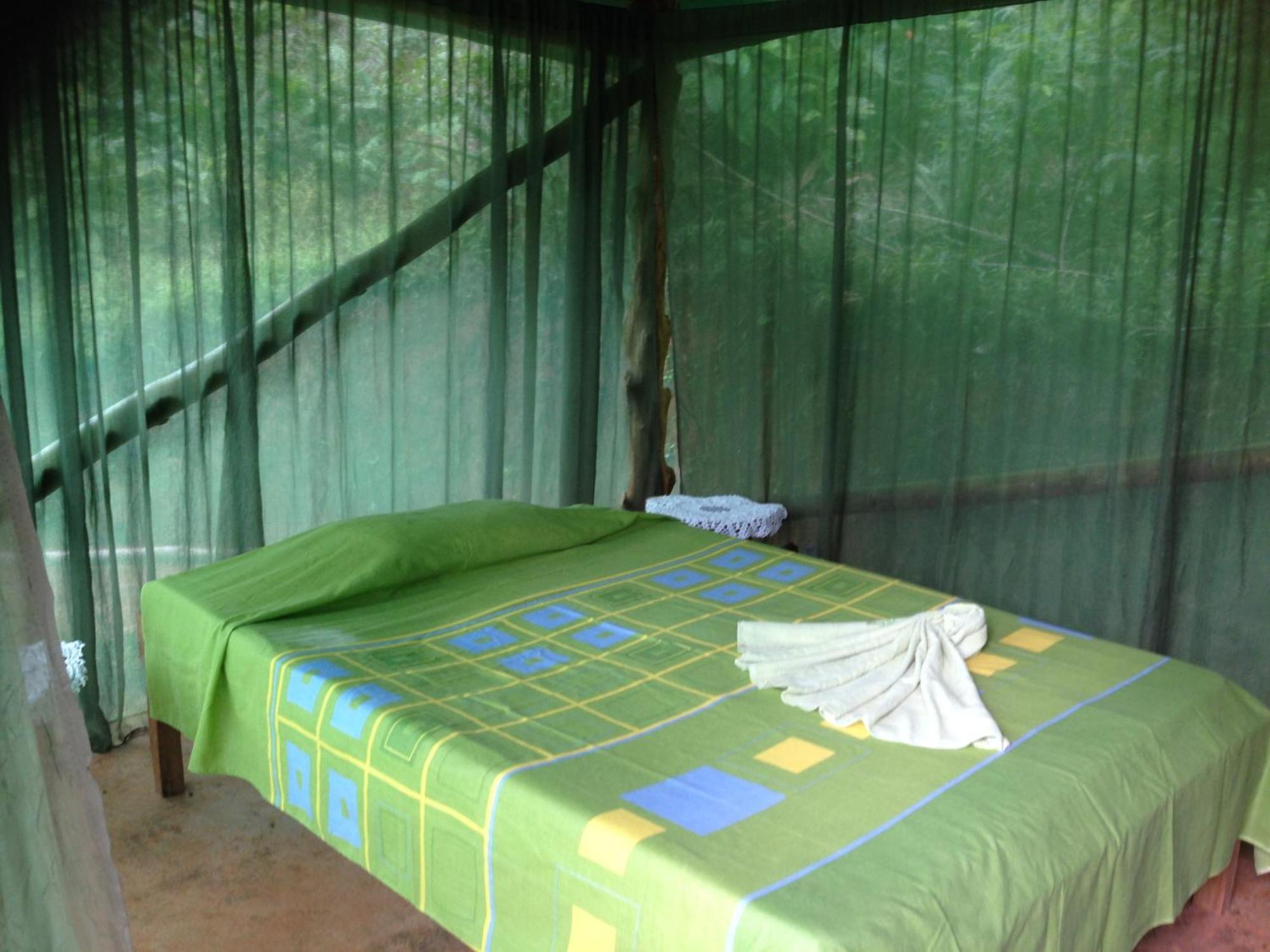 Isla Violin Eco-Lodge Drake Bay Ruang foto