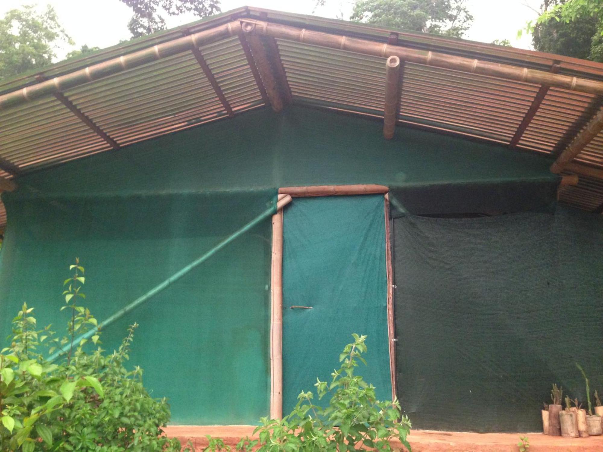 Isla Violin Eco-Lodge Drake Bay Ruang foto