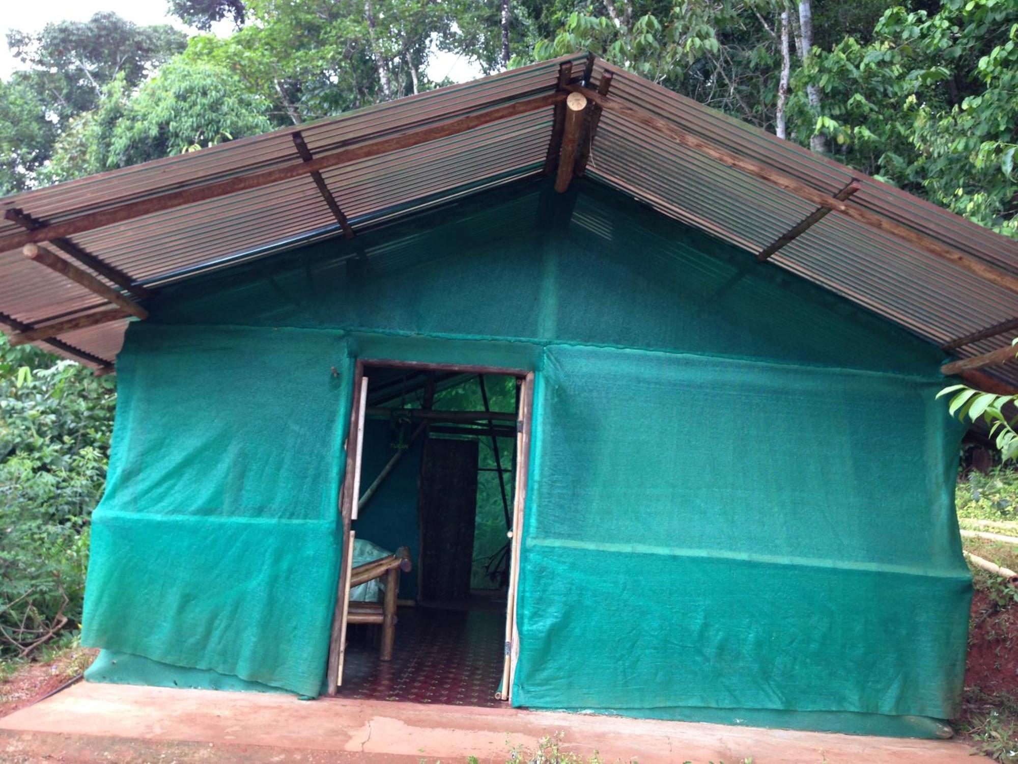 Isla Violin Eco-Lodge Drake Bay Ruang foto