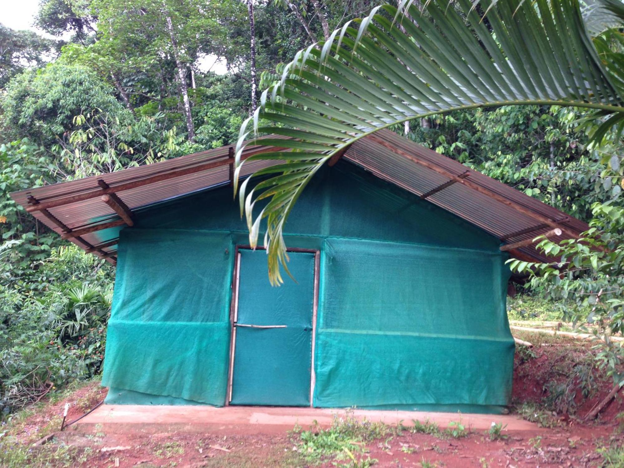 Isla Violin Eco-Lodge Drake Bay Ruang foto