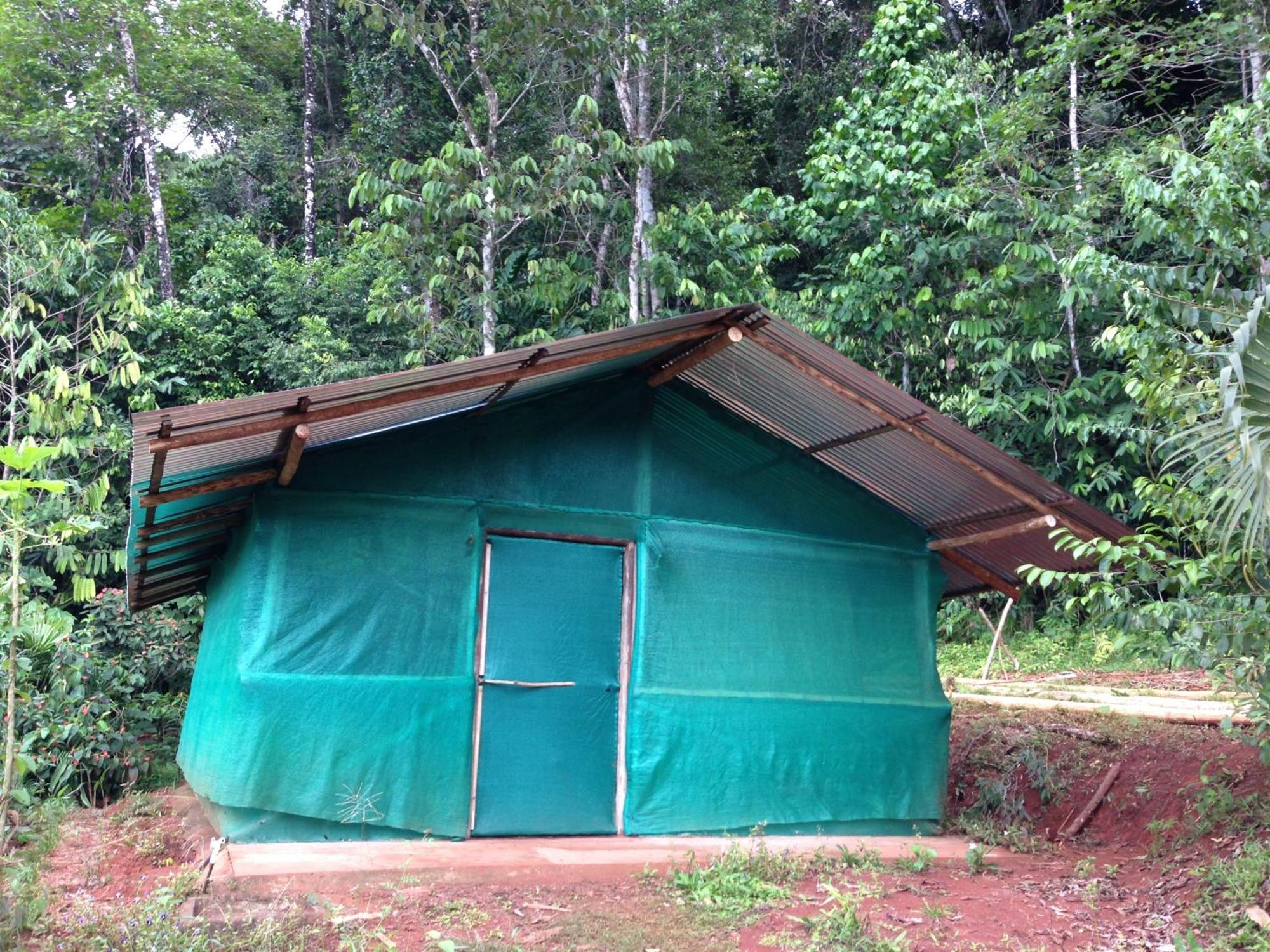 Isla Violin Eco-Lodge Drake Bay Ruang foto