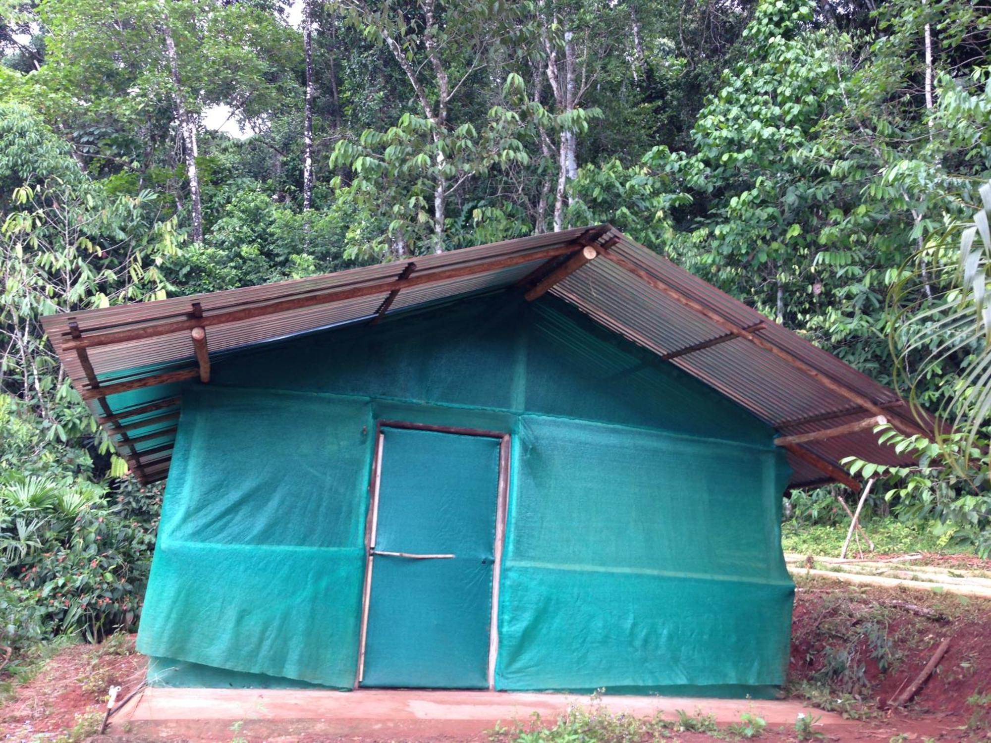 Isla Violin Eco-Lodge Drake Bay Ruang foto